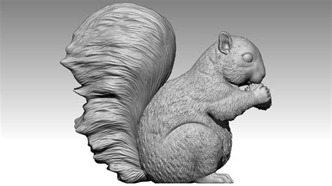 squirrel 3d model|squirrel 3d print file.